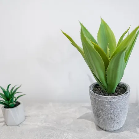 아파트 Location 2-bedroom